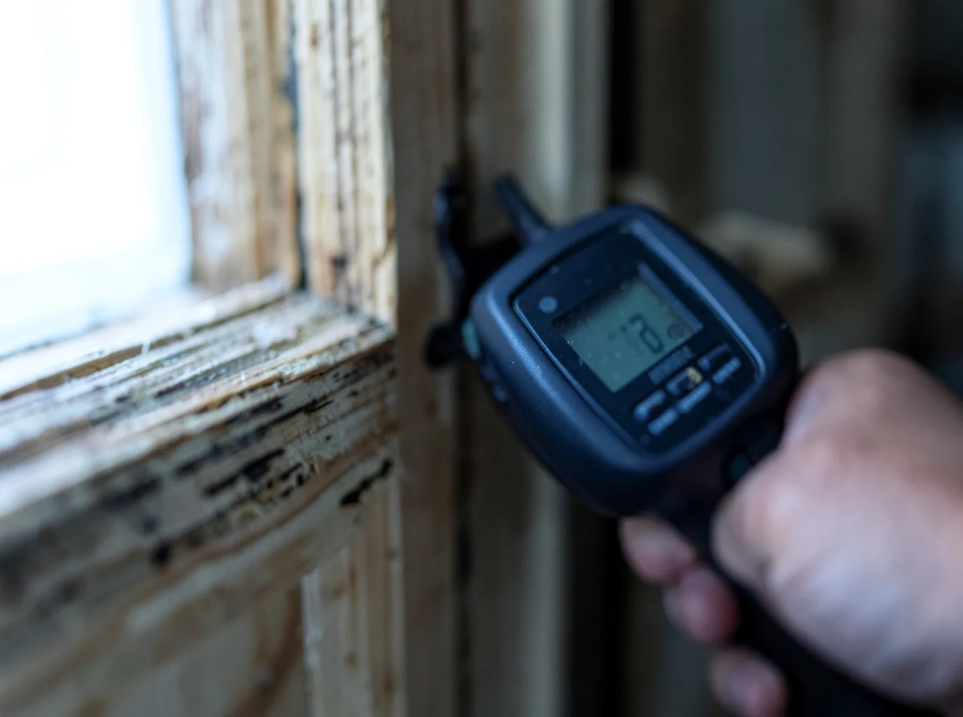 Moisture Inspection And Documentation in Barton, VT